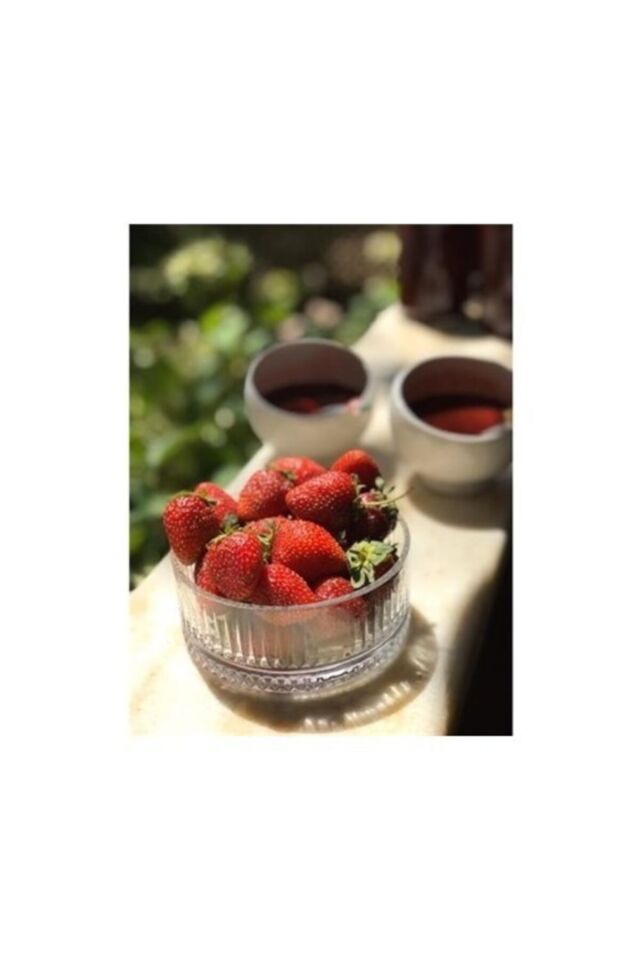 2 Li Cam Kase 530042 Elysia Kase Takımı